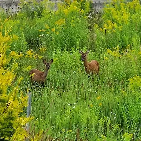 Jeruzale Park View Vilnius