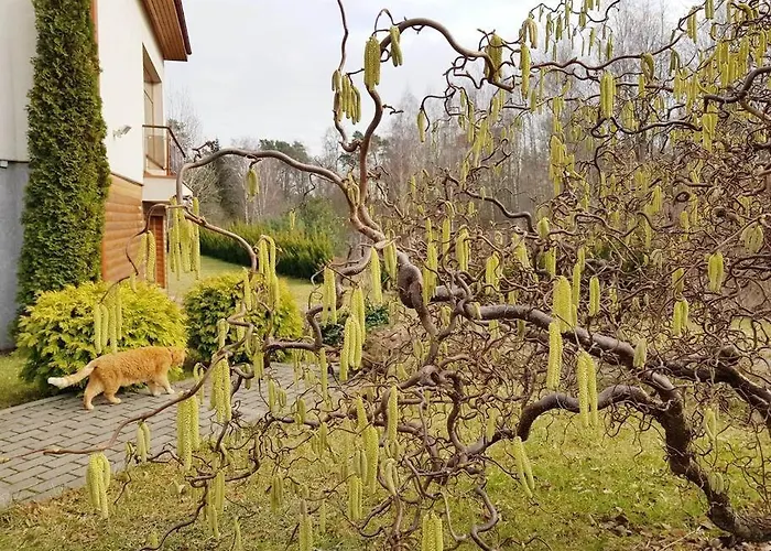 Διαμέρισμα Jeruzale Park View