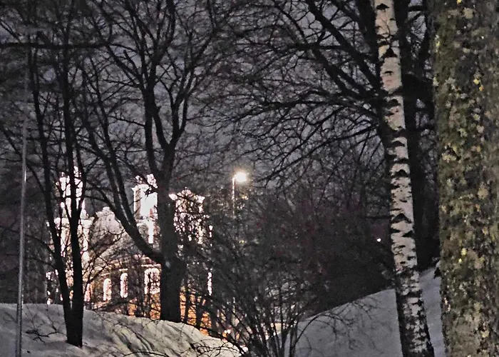 Jeruzale Park View アパート ヴィリニュス