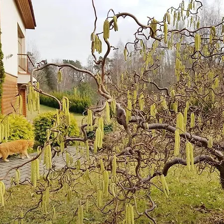 Апартаменти Jeruzale Park View